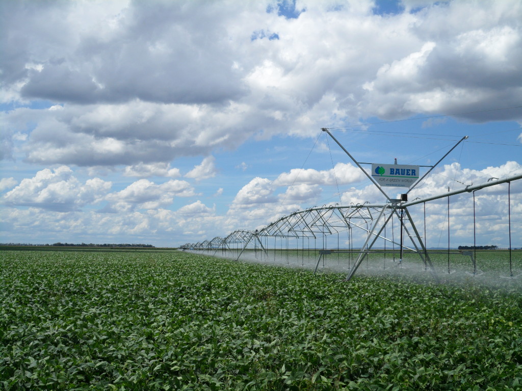 IPSO Agricultura